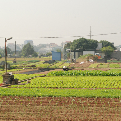 HTX CHÚC SƠN
