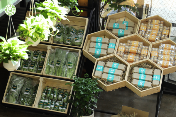 SOFT OPENING CAFE, PHỞ & CỬA HÀNG MYBALANCE FOOD SÀI GÒN