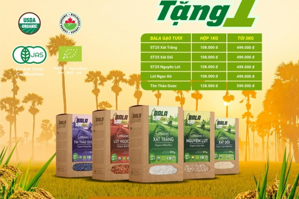  BALA GẠO TƯƠI - MUA 1 TẶNG 1!!!